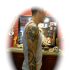 DSC02196.jpg