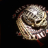 Skull_and_Tshirt.jpg